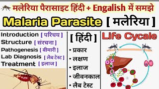 Malaria Parasite in hinid  Malaria Life Cycle  Plasmodium  Treatment of malaria  मलेरिया क्या है [upl. by Icat451]