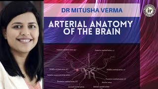 2Minute Neuroscience Blood Supply of the Brain [upl. by Dranik658]