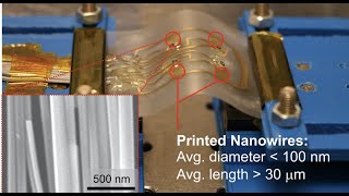 ZnO Nanowires Based Flexible UV Photodetectors for Wearable Dosimetry  IEEE Sensors 2017 [upl. by Tibbitts]