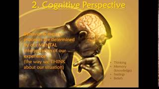 Psych 1  010403 Cognitive Perspective [upl. by Ailicec]