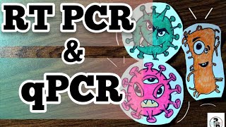 RT PCRReverse Transcriptase PCR and Real time PCR paperpenbiology [upl. by Harry477]