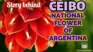 CEIBO  NATIONAL FLOWER OF ARGENTINA  LEARN FROM FOLKTALE  Latin American Culture  IN ENGLISH [upl. by Rosse]