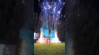 The best Fireworks gender reveal ever💙🎉✨ genderrevealideas genderreveal [upl. by Kirbee]