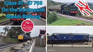 Class 37  37 703 On Dartmouth Steam Railway [upl. by Thorvald19]