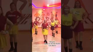 Ellegibo  Line Dance Choreo by Chika Hapsari amp Roosamekto Mamek [upl. by Eilasor]