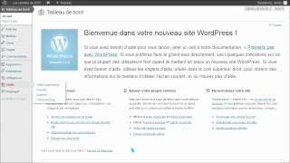 LWS  Wordpress  Ajouter une extension de sauvegarde dans Wordpress [upl. by Aicenat179]