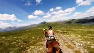 Horseback riding in the Norwegian mountains  Summary part1 [upl. by Gertrudis592]