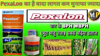 🫢धान में भूरा माहू का जड़ से सफाया🫢 BPH control Insecticide Dhan Ki Kheti [upl. by Abigale391]