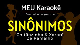 ✅SINÔNIMOS  CHITÃOSINHO E XORORÓ  KARAOKE [upl. by Roch223]