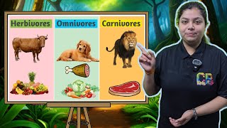 Herbivores Omnivores and Carnivores Animals  Eating Habits of Animals  Learn What Animals Eat [upl. by Rosario34]