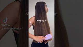 Getting rid of my ANNOYING split ends shorts hair longhair splitends haircare hairgrowth [upl. by Meraree52]