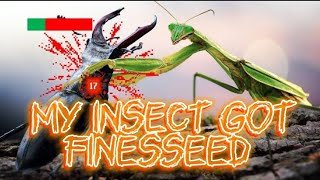 The insect tier list TierZoo Reaction Thatguyistoxic [upl. by Yengac510]