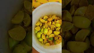 Lemon Pickle recipe lemonpickle pickle lemon hallistylepickle😋😋 [upl. by Nnyluqcaj]