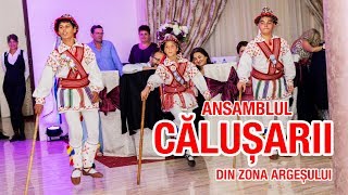 Dansuri populare traditionale Calusarii din zona Argesului [upl. by Roch800]