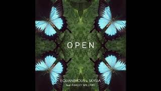 Equanimous amp Skysia  Open feat Ashley Willfire [upl. by Annaya772]