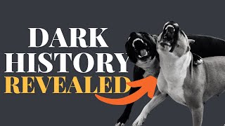 What Was the Staffordshire Bull Terrier Bred For TRUTH REVEALED [upl. by Naivart]