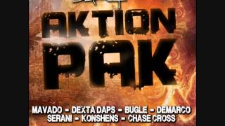 Action Pak Riddim Mix [upl. by Cairns]