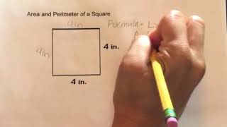 How to find the Area and Perimeter of a Square [upl. by Eicirtap]