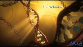 Melanoma Animation [upl. by Ilek]