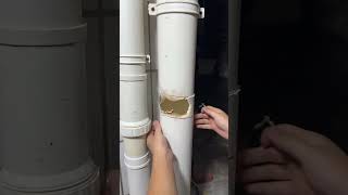 Water Pipe Damage Solutions Home Improvement shortsfeed [upl. by Ailaham]