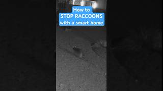 Stop raccoons with a smart home [upl. by Jenks237]