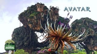 Full Tour of Pandora Rides Restaurants Mini Banshees amp More  Avatar Land at Animal Kingdom [upl. by Osanna943]