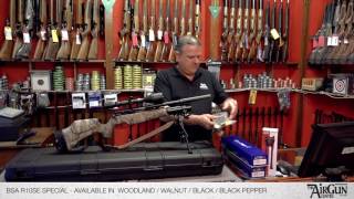 BSA R10 Special  Air Rifle Review [upl. by Emmey879]