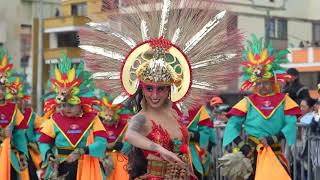 Desfile 3 de enero quotCanto A La Tierraquot Colectivos Coreográficos  Carnaval de Negros y Blancos 2024 [upl. by Ennoryt]