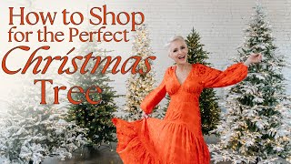 Christmas Tree Shop  My Top 5 Favorite Trees  How to Shop for the Perfect Christmas Tree [upl. by Irol339]