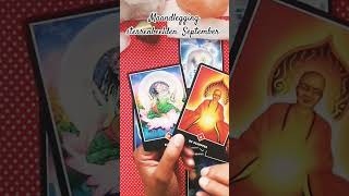 Maandlegging sterrenbeelden✨️ kaartlegging tarot orakel sterrenbeelden horoscoop [upl. by Hibbitts]