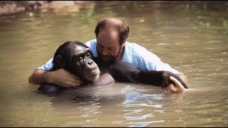 Zoo Staff Refused to Help a Drowning Chimp But One Brave Visitor Jumped in to Rescue Him [upl. by Tubb570]