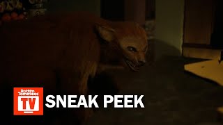 Wolf Like Me Season 2 Sneak Peek [upl. by Ainoet169]