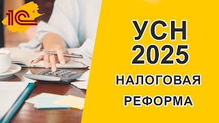 Налоговая реформа 2025 УСН [upl. by Cumine]