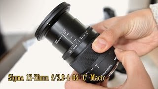 Sigma 1770mm f284 OS Macro C lens review with samples [upl. by Niessuh325]