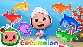 Baby Shark Learns Colors  CoComelon Nursery Rhymes amp Kids Songs [upl. by Josh]