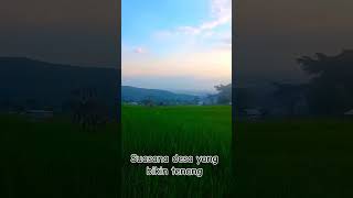 Suasana desa kampung sawah suasanapedesaan [upl. by Martinez567]