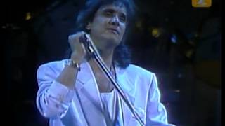 Roberto Carlos Un Gato En La Oscuridad Festival de Viña 1989 [upl. by Hanala881]