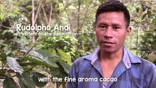 Making Organic Ancestral Cacao in the Ecuadorian Amazon Tsatsayaku Association [upl. by Orlantha]