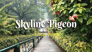 SKYLINE PIGEON  4k Karaoke Version  in the style of Elton John [upl. by Anuaik]