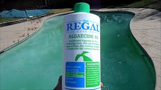 Kill Algae using Regal Algaecide 60 Polyquat [upl. by Girhiny]