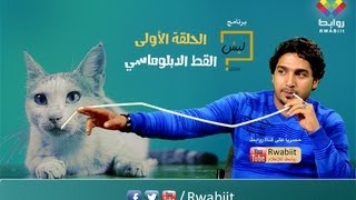 ليش؟ القط الدبلوماسي LEESH1 [upl. by Ruttger]