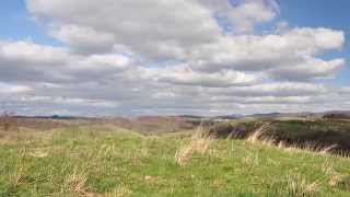 THE PICKAWAY FARM  215  ACRES [upl. by Miharbi438]