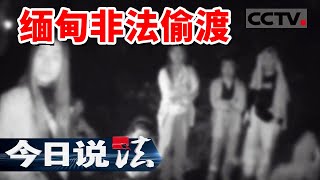 《今日说法》边境运送偷渡人员 男子高速路上强行闯卡逃跑！20240811  CCTV今日说法官方频道 [upl. by Reitrac97]