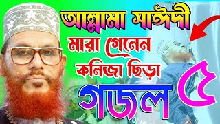 আল্লামা সাঈদী হুজুরের মৃত্যু নাকি হত্যা নাস্তিক হাসিনার কঠিন জবাব  delyar saidi [upl. by Irrak]