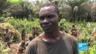 Pygmies endangered people [upl. by Giffy151]