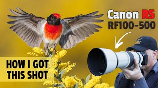 How I Used SETUPS to Capture STUNNING Shots Using the Canon R5 amp RF100500 [upl. by Icram920]