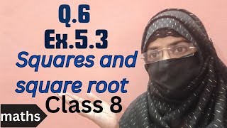 Q6 Ex 53 Squares and square roots  Class 8 maths Ncert solutions [upl. by Eiramanin]