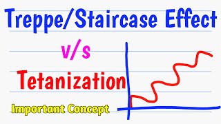 Treppe and Tetanization  Staircase effect easy undrstanding [upl. by Davison]