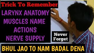 Trick for Larynx Muscles name action and nerve supply in Hindi Larynx anatomy in Hindi [upl. by Ibson]