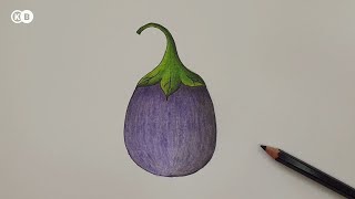 How to draw and colour a Brinjal [upl. by Nnaear]